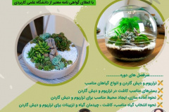 دوره کوتاه مدت آزاد آموزش‌های باغ مینیاتوری (دیش گاردن و تراریوم)