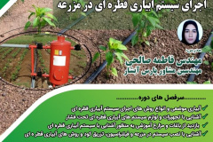 دوره کوتاه مدت آزاد اجرای سیستم آبیاری قطره‌ای در مزرعه